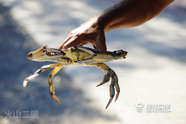 上天入海任我游《摩旅爱琴海》（中） g11