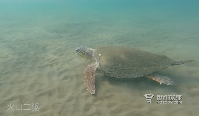 上天入海任我游《摩旅爱琴海》（中） g17