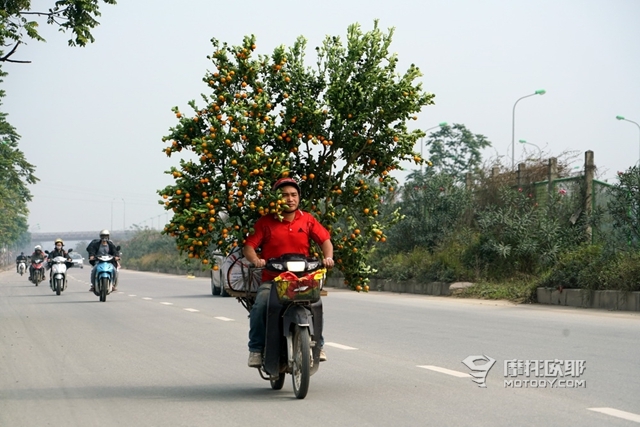 越过山丘——摩托车骑行越南西北环线（上） 4.JPG