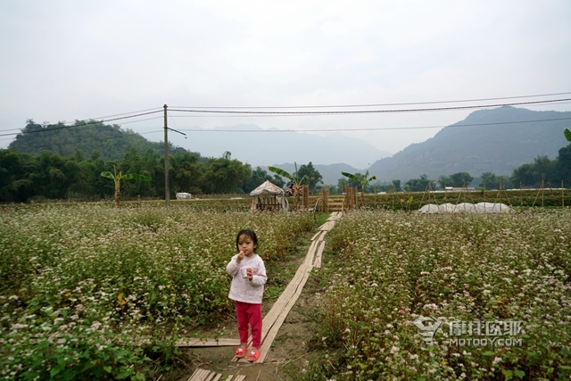 越过山丘——摩托车骑行越南西北环线（上） 5.JPG